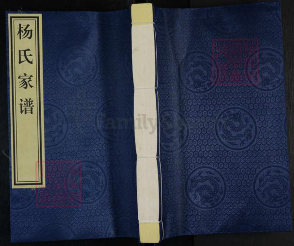 河北省沧州杨氏族谱-杨氏家谱.pdf电子版