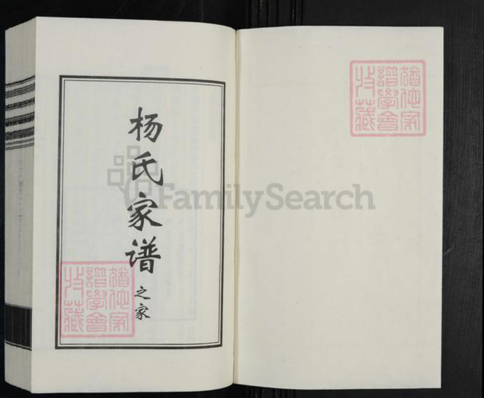 河北省沧州杨氏族谱-杨氏家谱.pdf电子版插图1