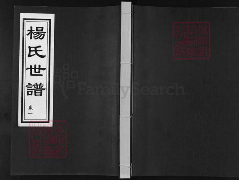 山东省德州市乐陵市杨氏族谱-杨氏世谱.pdf电子版