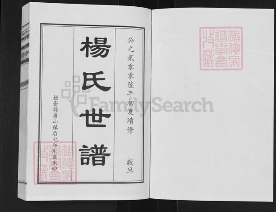 山东省德州市乐陵市杨氏族谱-杨氏世谱.pdf电子版插图1