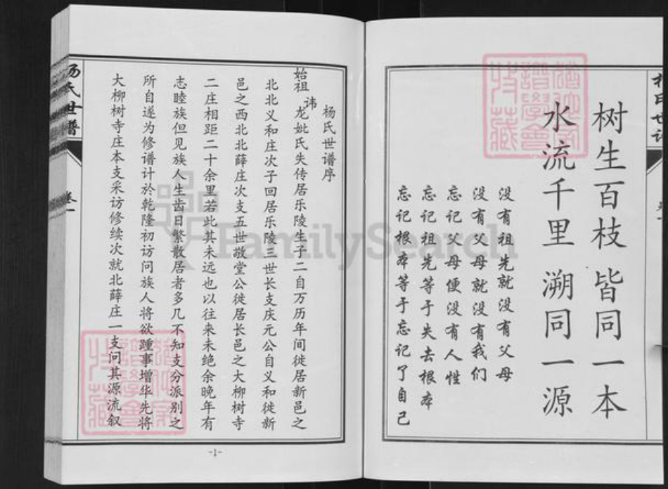 山东省德州市乐陵市杨氏族谱-杨氏世谱.pdf电子版插图3