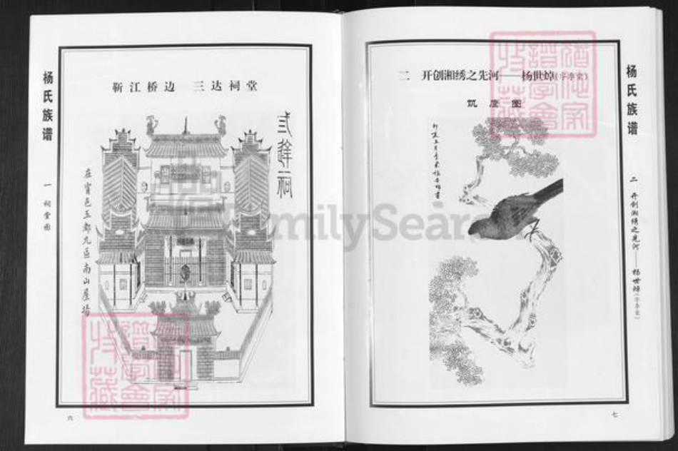 湖南省湘潭市湘潭县河口镇杨氏族谱-靳江杨氏三达祠.首修族谱.pdf电子版插图5 湖南省湘潭市湘潭县河口镇杨氏族谱-靳江杨氏三达祠.首修族谱.pdf电子版插图5