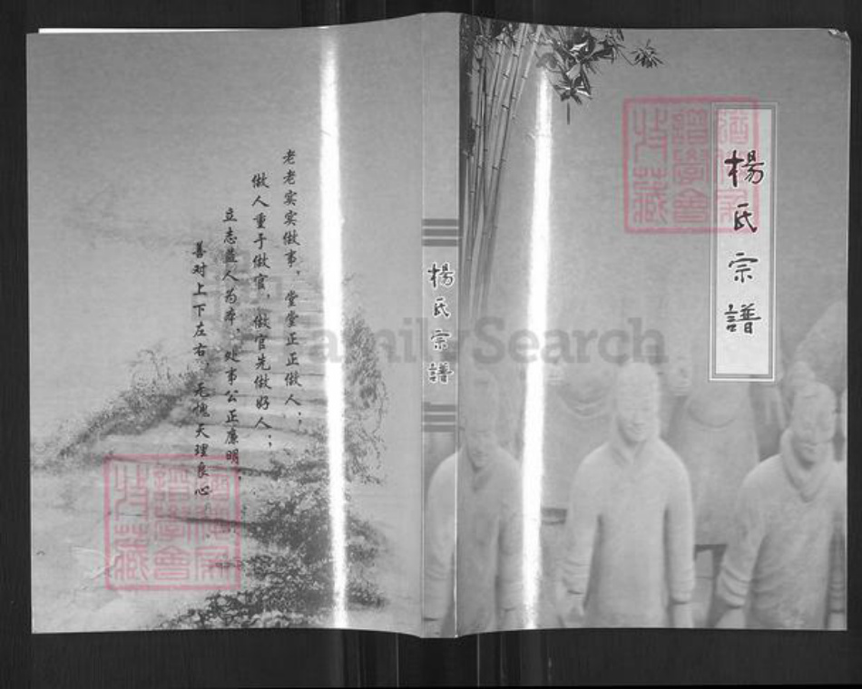 四川省南充市南部县杨氏族谱-杨氏宗谱.pdf电子版