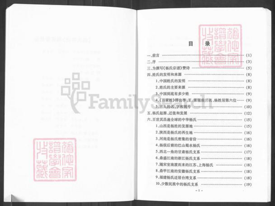 四川省南充市南部县杨氏族谱-杨氏宗谱.pdf电子版插图4 四川省南充市南部县杨氏族谱-杨氏宗谱.pdf电子版插图4