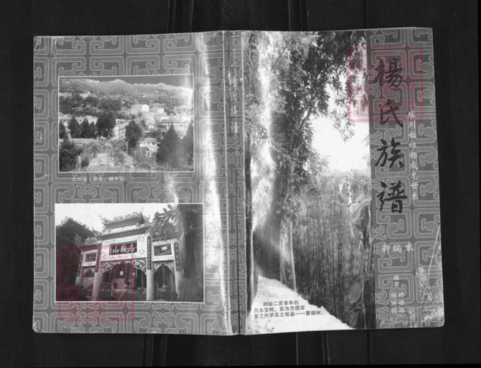 四川省南充市南部县三官镇杨氏族谱-杨氏族谱.填川始祖杨成龙世系.pdf电子版