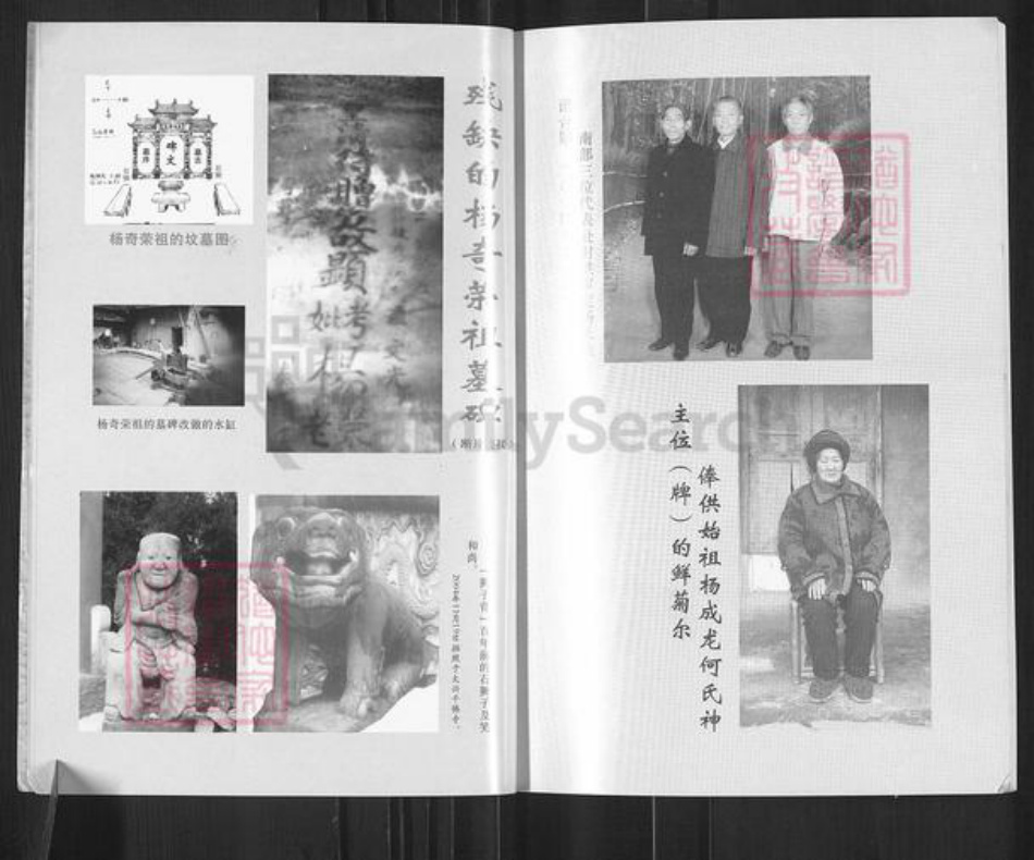 四川省南充市南部县三官镇杨氏族谱-杨氏族谱.填川始祖杨成龙世系.pdf电子版插图5 四川省南充市南部县三官镇杨氏族谱-杨氏族谱.填川始祖杨成龙世系.pdf电子版插图5