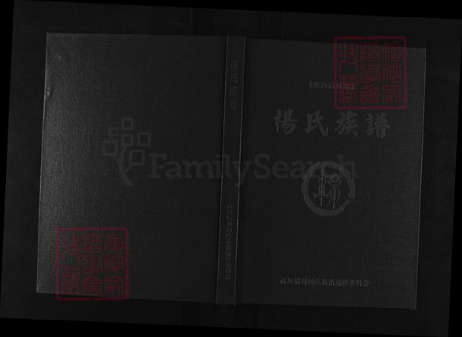 山东省潍坊市临朐县杨氏族谱-杨氏族谱.pdf电子版