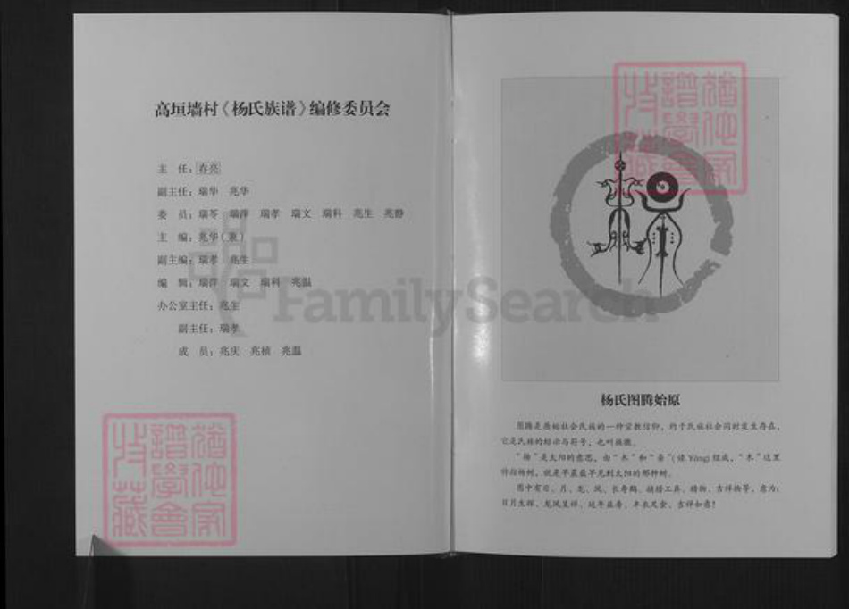 山东省潍坊市临朐县杨氏族谱-杨氏族谱.pdf电子版插图2