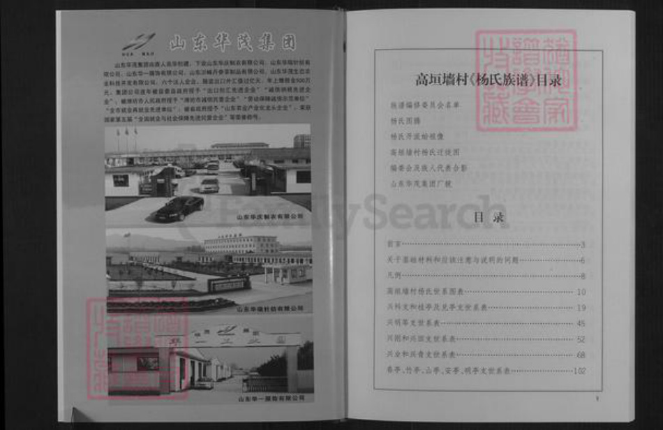 山东省潍坊市临朐县杨氏族谱-杨氏族谱.pdf电子版插图5