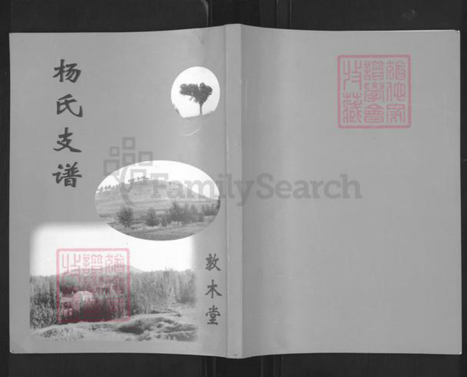 山东省泰安市宁阳县蒋集镇杨氏敦木堂族谱-杨氏支谱.pdf电子版