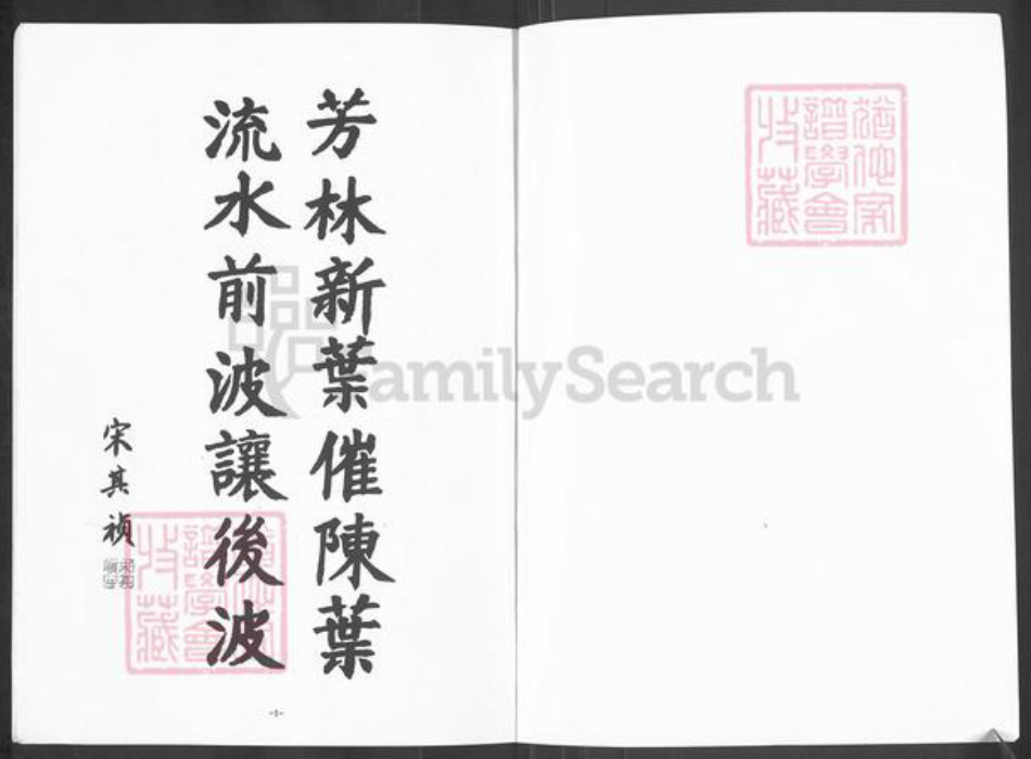 山东省泰安市宁阳县蒋集镇杨氏敦木堂族谱-杨氏支谱.pdf电子版插图1