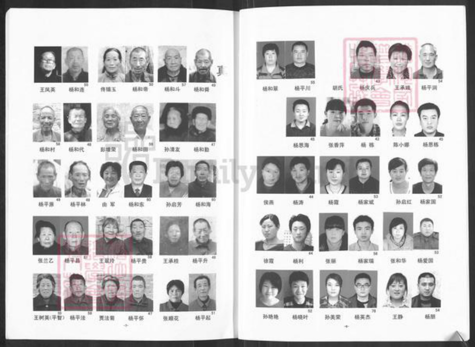 山东省泰安市宁阳县蒋集镇杨氏敦木堂族谱-杨氏支谱.pdf电子版插图4