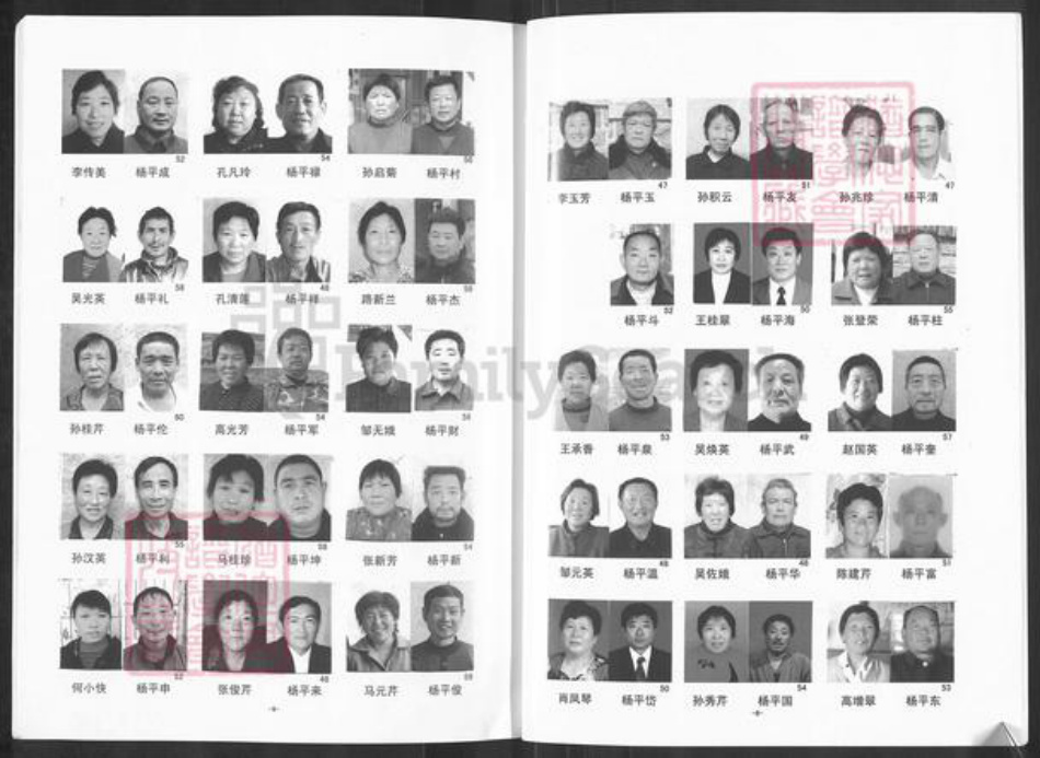 山东省泰安市宁阳县蒋集镇杨氏敦木堂族谱-杨氏支谱.pdf电子版插图5