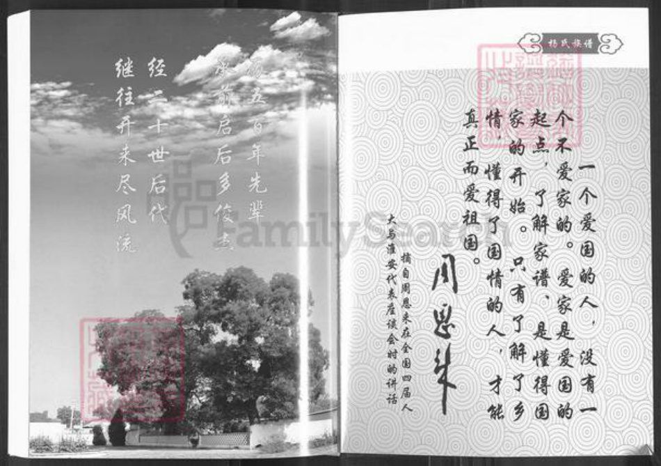 山西省忻州市原平市崞阳镇杨氏族谱-杨氏族谱.pdf电子版插图2