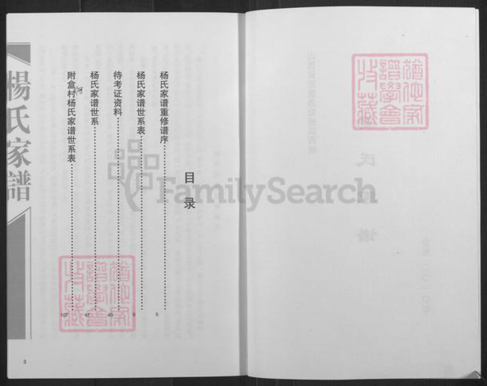 山西省忻州市定襄县宏道镇杨氏族谱-杨氏家谱.pdf电子版插图2