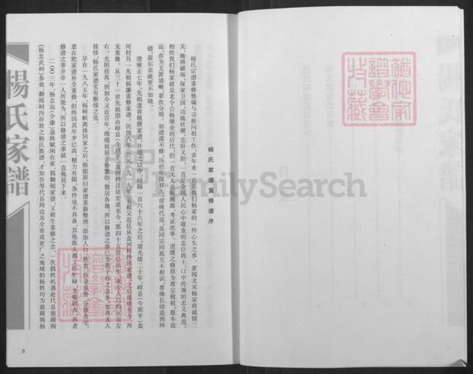 山西省忻州市定襄县宏道镇杨氏族谱-杨氏家谱.pdf电子版插图3