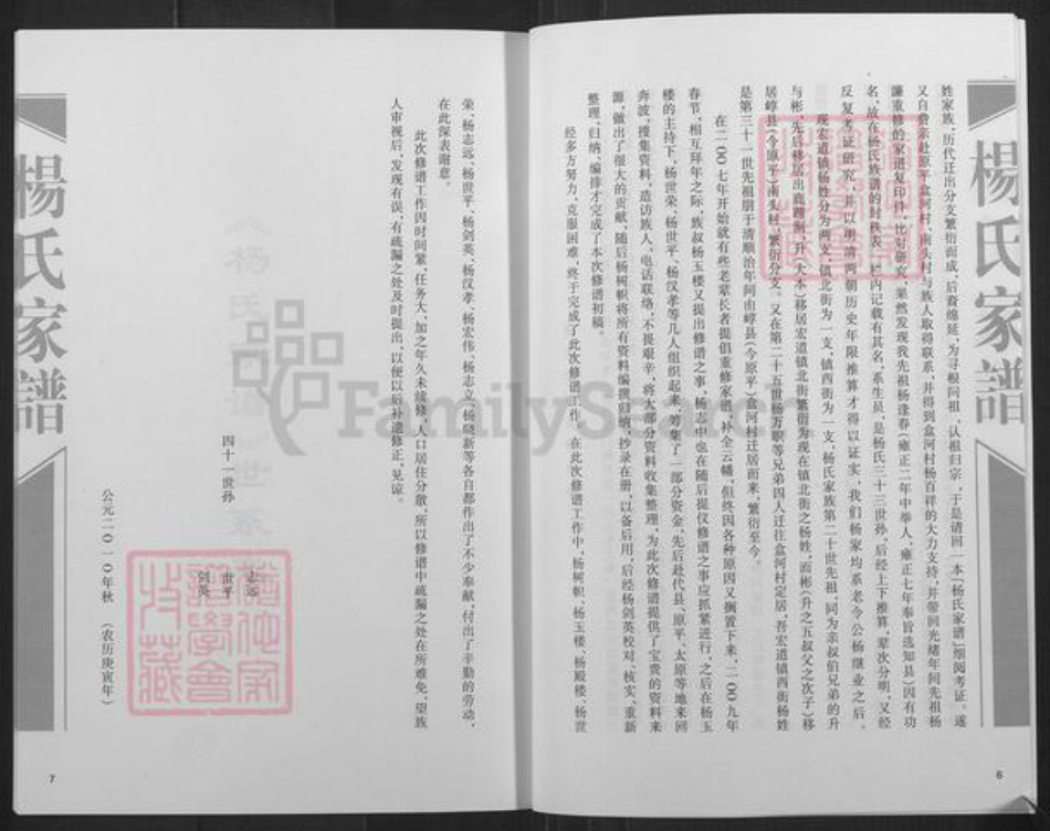 山西省忻州市定襄县宏道镇杨氏族谱-杨氏家谱.pdf电子版插图4