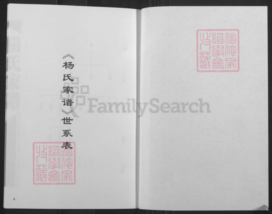 山西省忻州市定襄县宏道镇杨氏族谱-杨氏家谱.pdf电子版插图5