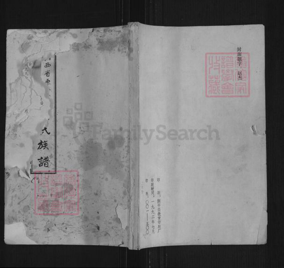 山西省忻州市原平市解村乡杨氏族谱-杨氏族谱.pdf电子版