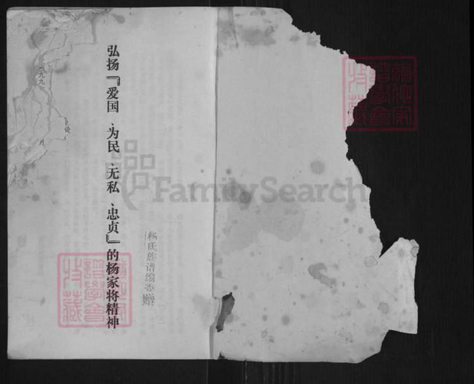 山西省忻州市原平市解村乡杨氏族谱-杨氏族谱.pdf电子版插图1