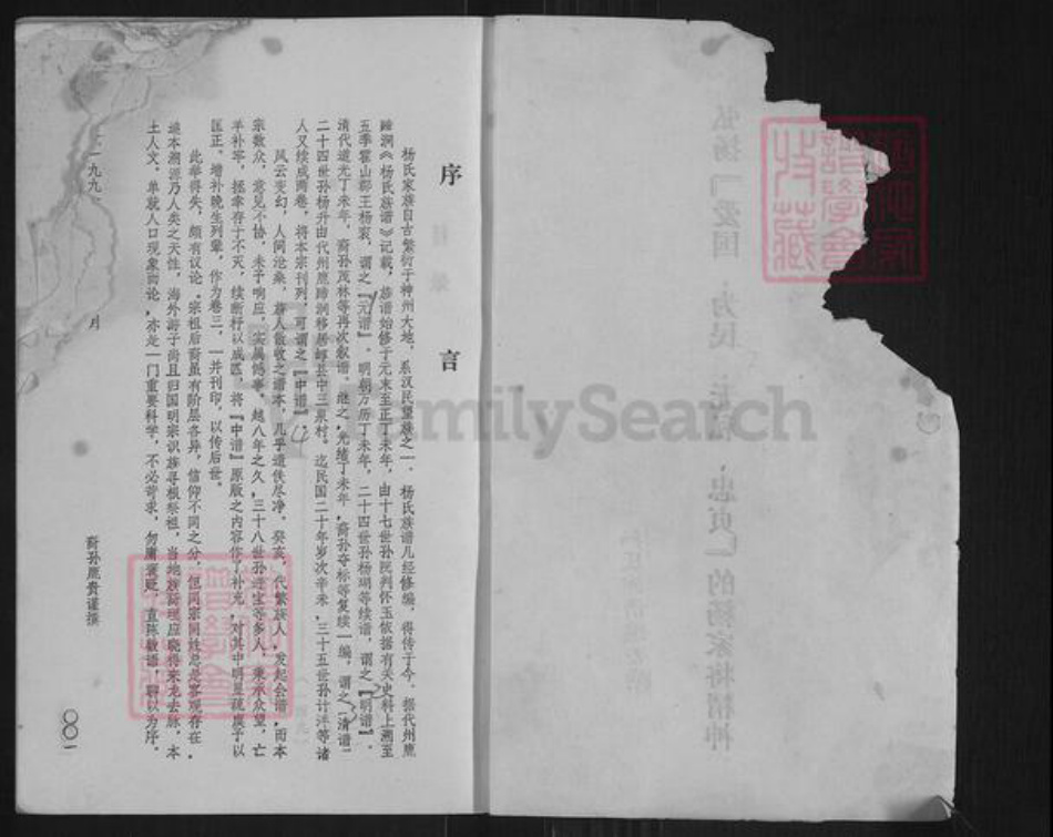 山西省忻州市原平市解村乡杨氏族谱-杨氏族谱.pdf电子版插图2