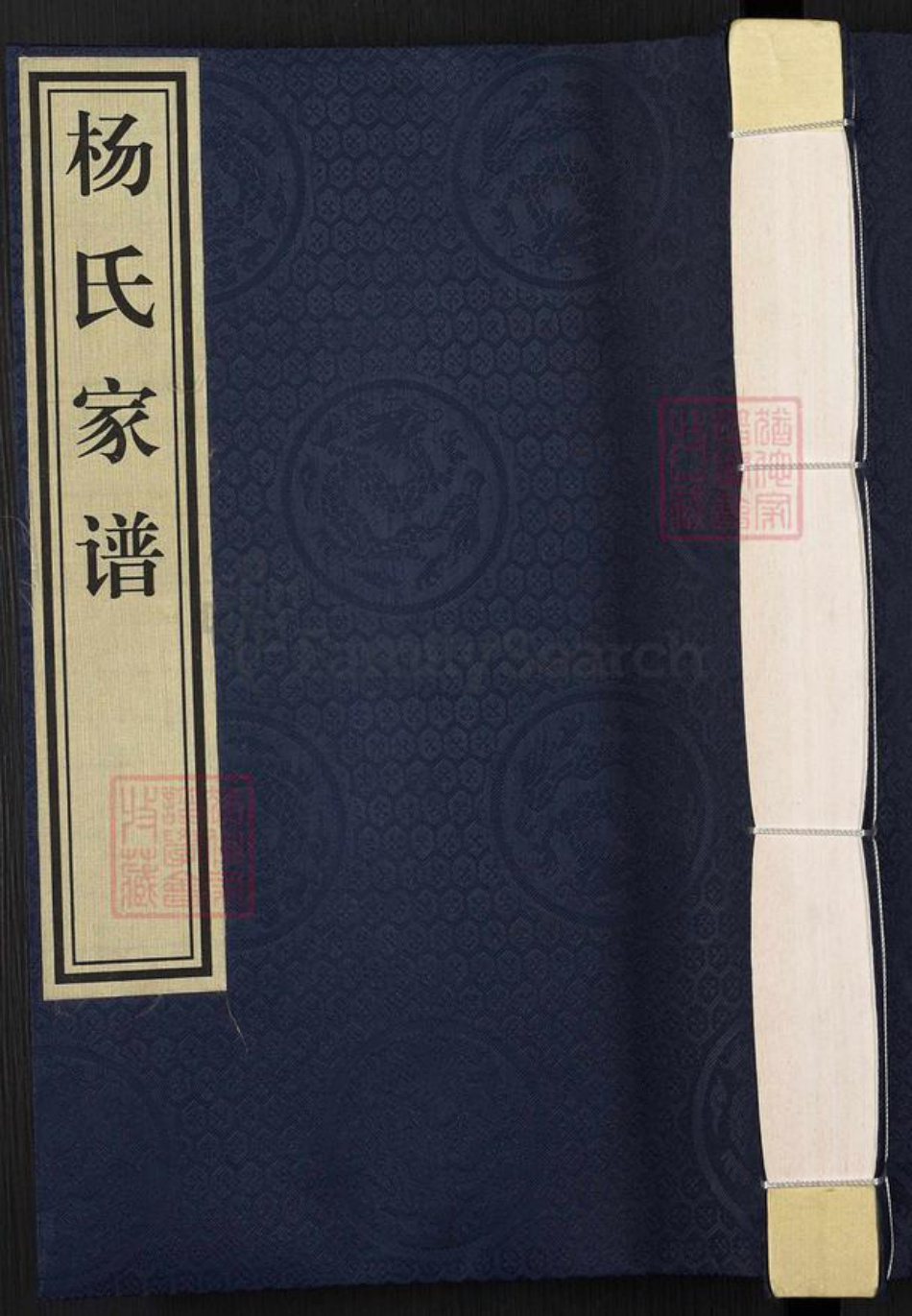 河北省沧州沧县汪家铺乡杨氏族谱-杨氏家谱.pdf电子版