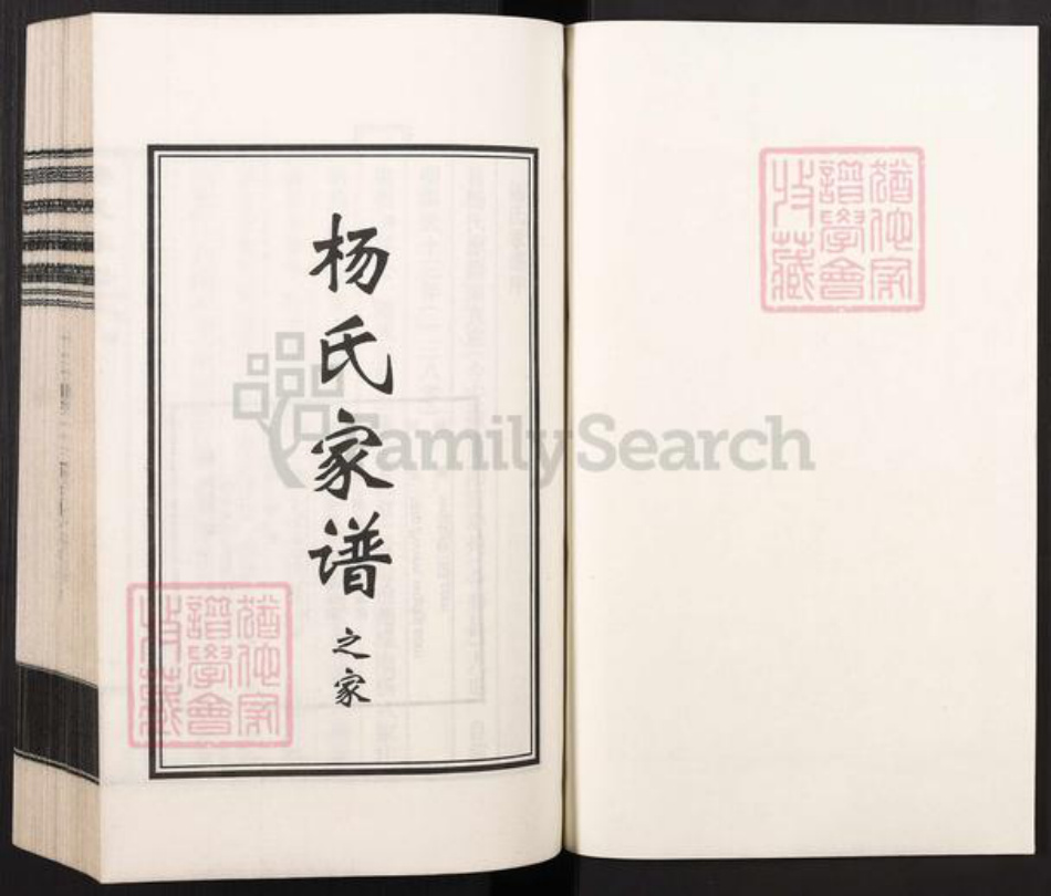 河北省沧州沧县汪家铺乡杨氏族谱-杨氏家谱.pdf电子版插图1