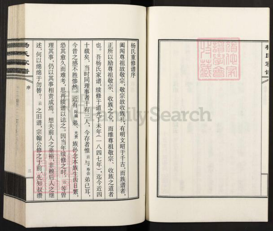 河北省沧州沧县汪家铺乡杨氏族谱-杨氏家谱.pdf电子版插图4