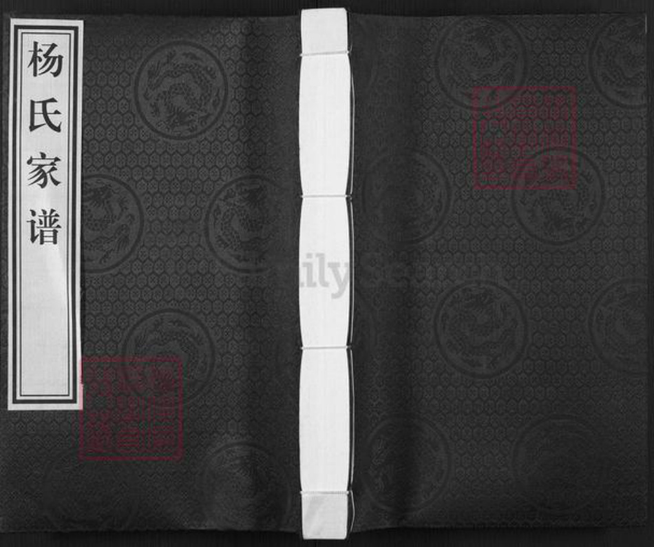 河北省沧州杨氏族谱-杨氏家谱.pdf电子版