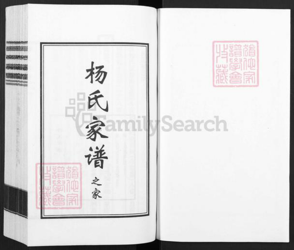 河北省沧州杨氏族谱-杨氏家谱.pdf电子版插图1 河北省沧州杨氏族谱-杨氏家谱.pdf电子版插图1