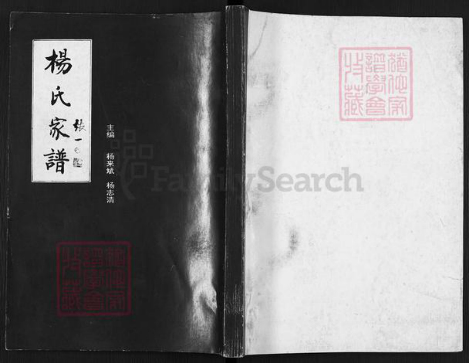 山西省临汾市乡宁县光华镇杨氏族谱-杨氏家谱.pdf电子版