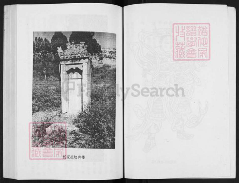 山西省临汾市乡宁县光华镇杨氏族谱-杨氏家谱.pdf电子版插图3