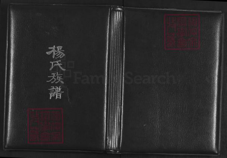 山西省太原市清徐县清源镇杨氏族谱-上阎村杨氏续修族谱.pdf电子版