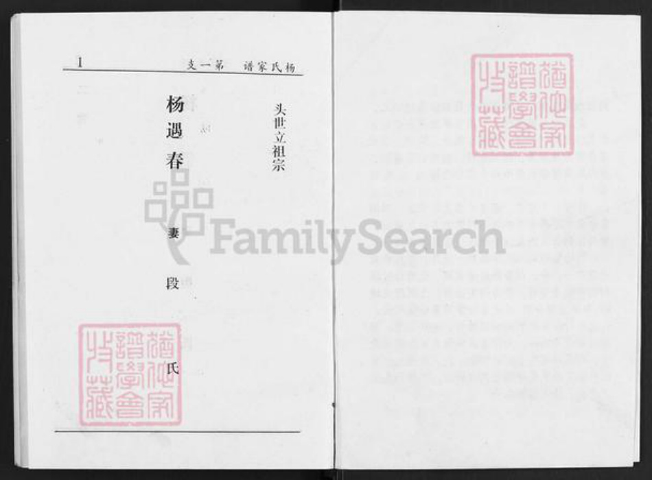 山西省太原市清徐县清源镇杨氏族谱-上阎村杨氏续修族谱.pdf电子版插图5 山西省太原市清徐县清源镇杨氏族谱-上阎村杨氏续修族谱.pdf电子版插图5