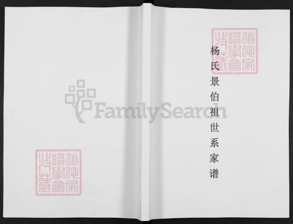 贵州省遵义市桐梓县茅石镇杨氏族谱-杨氏景伯祖世系家谱.pdf电子版