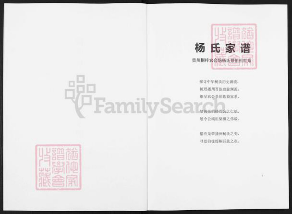 贵州省遵义市桐梓县茅石镇杨氏族谱-杨氏景伯祖世系家谱.pdf电子版插图2