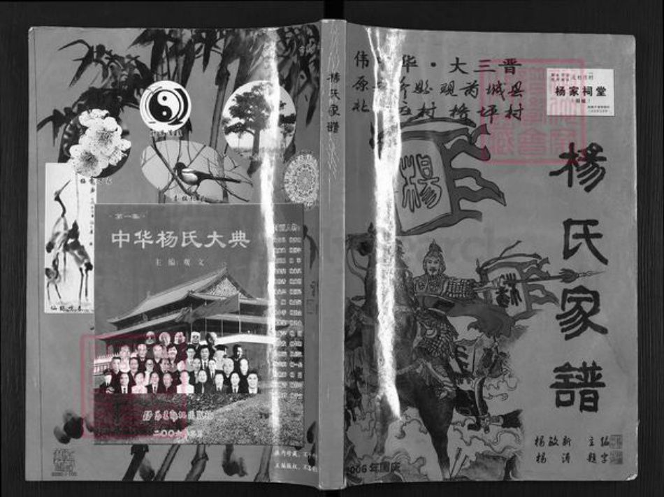 山西省运城市芮城县阳城镇杨氏族谱-杨氏家谱.pdf电子版