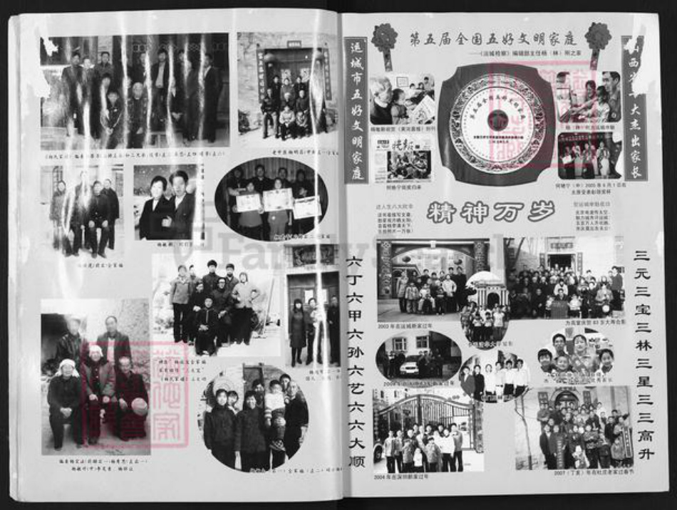 山西省运城市芮城县阳城镇杨氏族谱-杨氏家谱.pdf电子版插图5