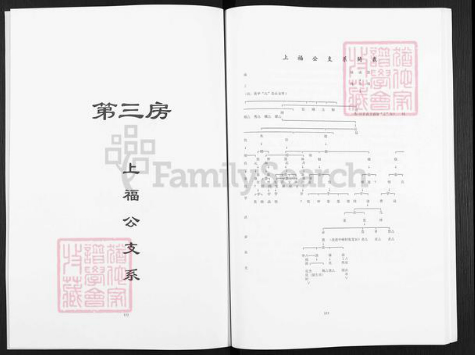 四川省宜宾市叙州区杨氏四知堂族谱-杨氏族谱.pdf电子版插图2