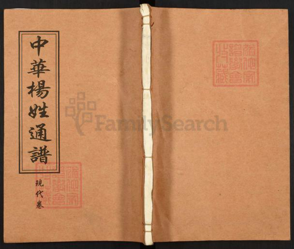 湖南省邵阳市邵东市杨氏四知堂族谱-邵东新桥杨氏六修兴房支谱.pdf电子版