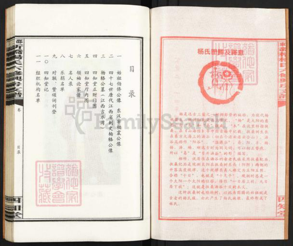 湖南省邵阳市邵东市杨氏四知堂族谱-邵东新桥杨氏六修兴房支谱.pdf电子版插图2