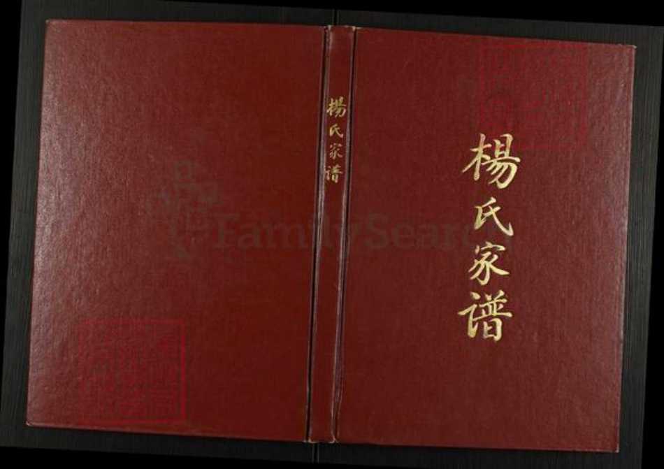 河北省廊坊市永清县永清镇杨氏族谱-杨氏家谱.pdf电子版