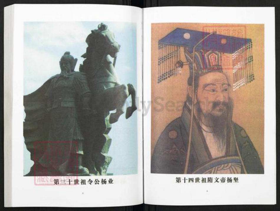 河南省洛阳市老城区杨氏四知堂族谱-杨氏祖谱.pdf电子版插图5