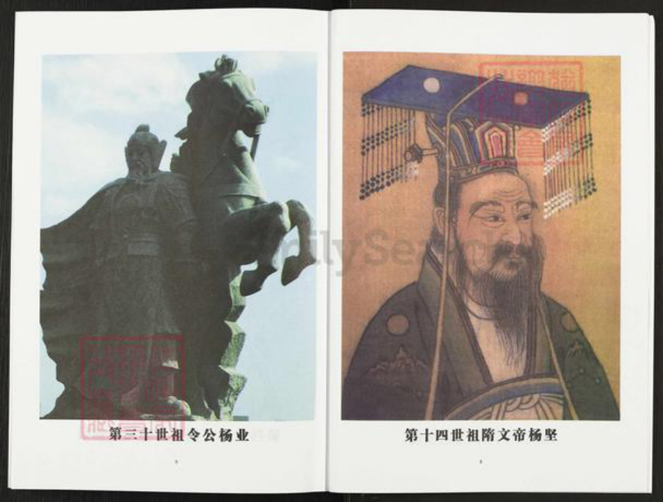 河南省洛阳市栾川县栾川乡杨氏四知堂族谱-杨氏祖谱.pdf电子版插图5