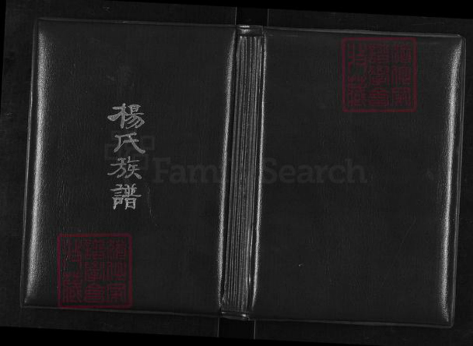 山西省太原市清徐县清源镇杨氏族谱-上阎村杨氏续修族谱.pdf电子版