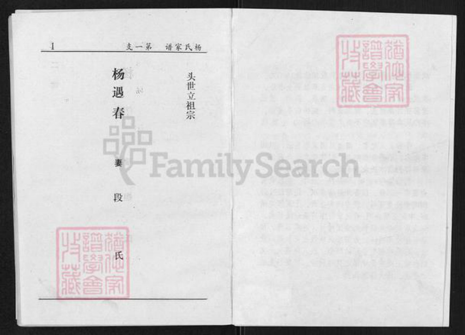 山西省太原市清徐县清源镇杨氏族谱-上阎村杨氏续修族谱.pdf电子版插图5