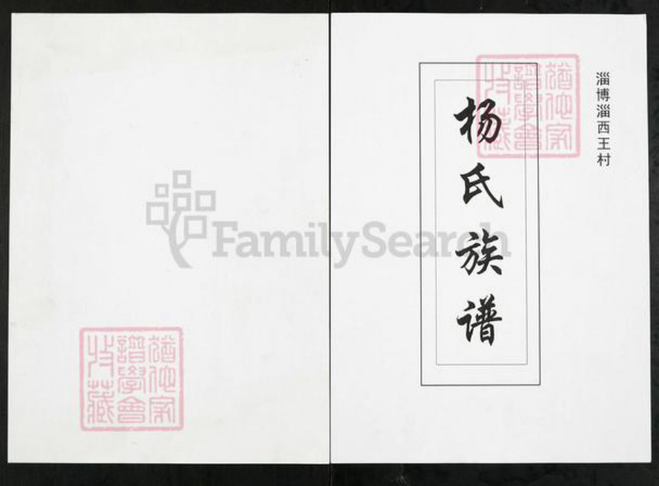 山东省淄博市周村区杨氏族谱-杨氏族谱.pdf电子版