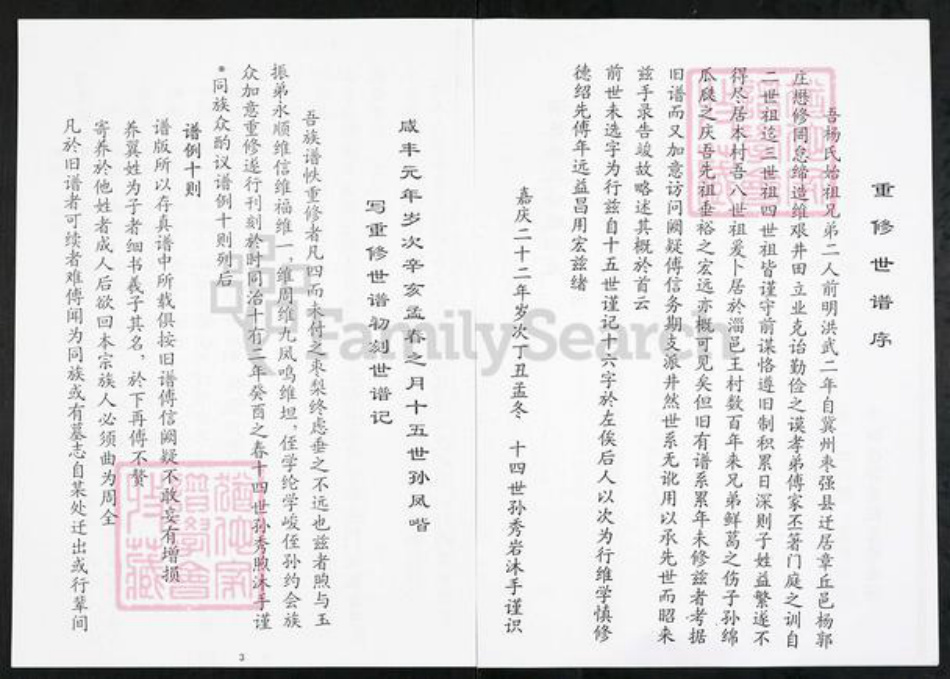 山东省淄博市周村区杨氏族谱-杨氏族谱.pdf电子版插图4