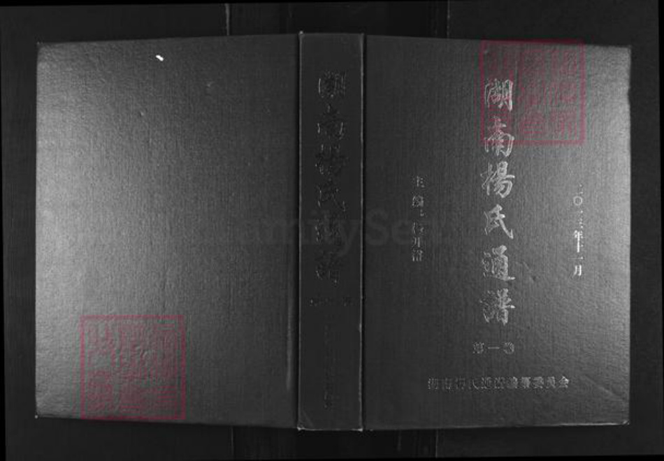 湖南省杨氏四知堂族谱-湖南杨氏通谱.pdf电子版