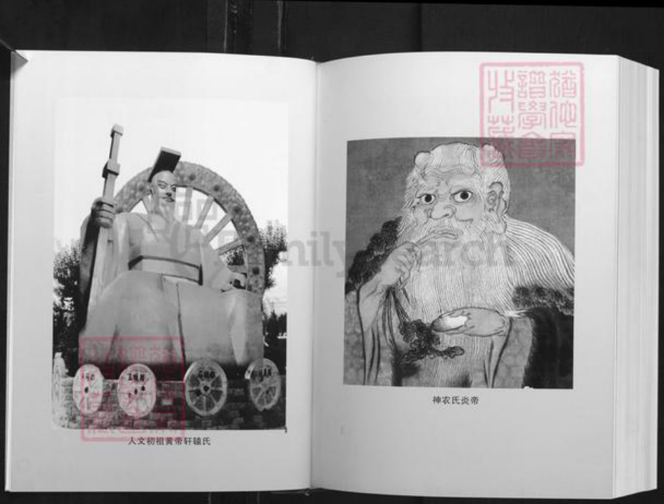 湖南省杨氏四知堂族谱-湖南杨氏通谱.pdf电子版插图4